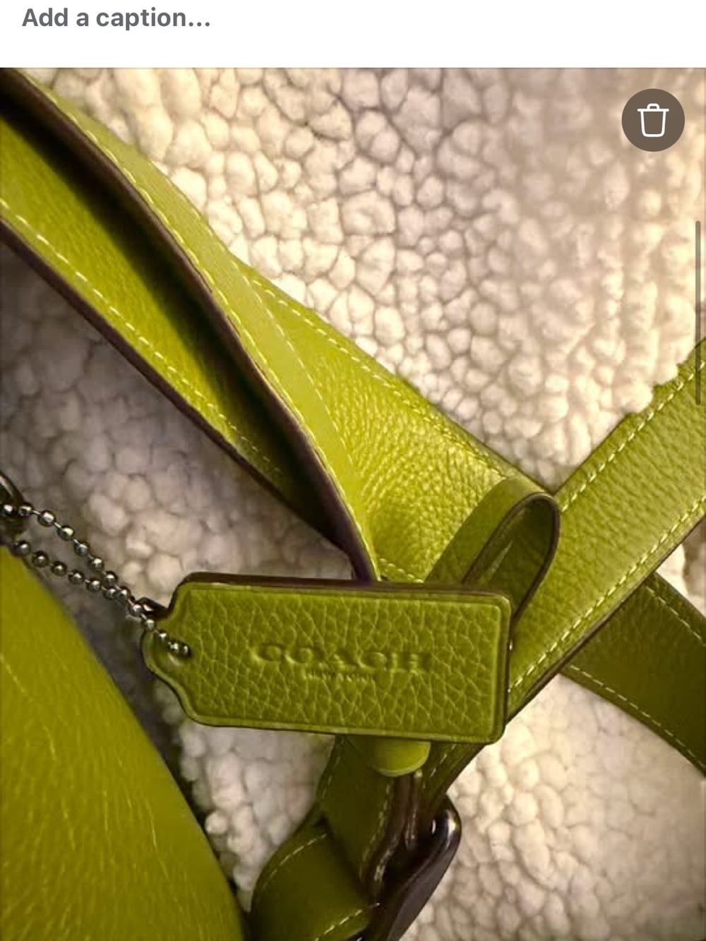 SOLD
Coach Lime Green Pebble Leather Crossbody Bag - Picture 3 of 8